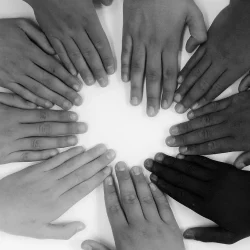 TrustNest Website Picture - Share Trust Picture